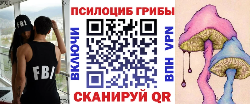 Псилоцибиновые грибы GOLDEN TEACHER  наркота  Павловск 